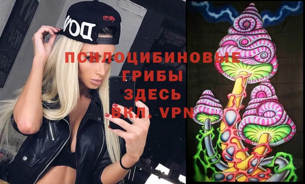 круглые Алзамай