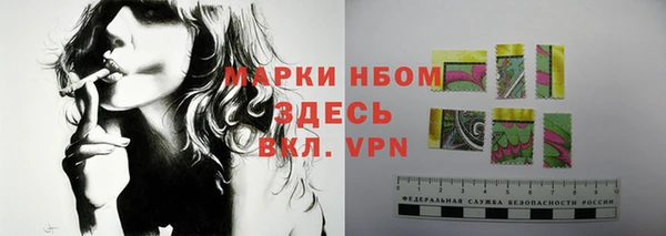 прущие грибы Алексин