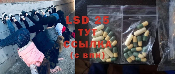 прущие грибы Алексин