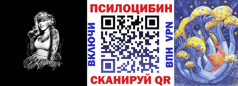 Галлюциногенные грибы Psilocybe Уссурийск
